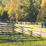 Inner Circle Farm