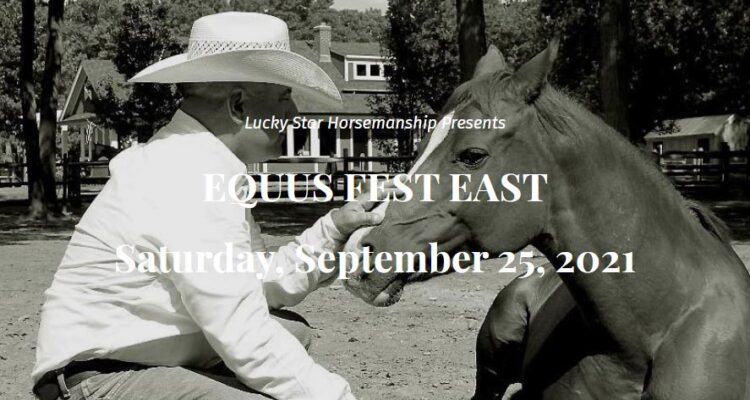 Equus Fest East