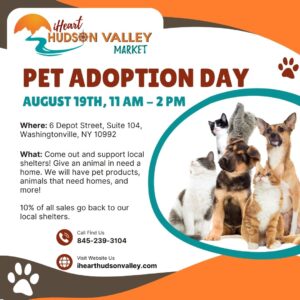 Pet adoption day
