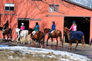 Saddle Brook Farm Animal Rescue