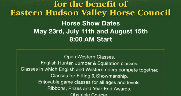 Tymor 2021 Horse Show Series
