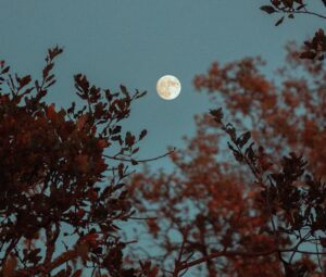 April Full Moon Hike