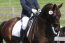 FREE WALK DRESSAGE