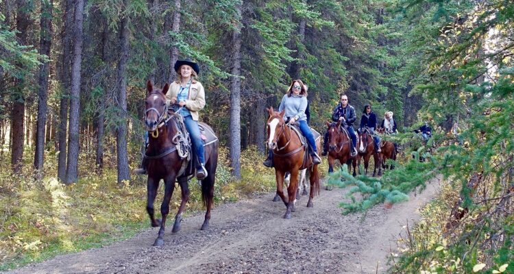 iHeart HV Horsebackriding and BBQ