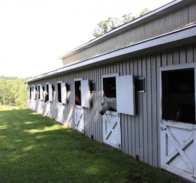 Ivy Rock Farm