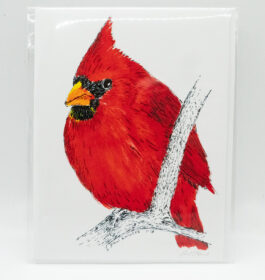 Cardinals Note Card